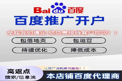 行业内的SEM竞价策略与效果对比案例